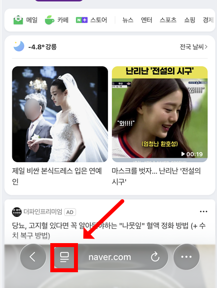 아이폰 사파리에서 글자 크기 조절하는 꿀팁 - 20260101_221720