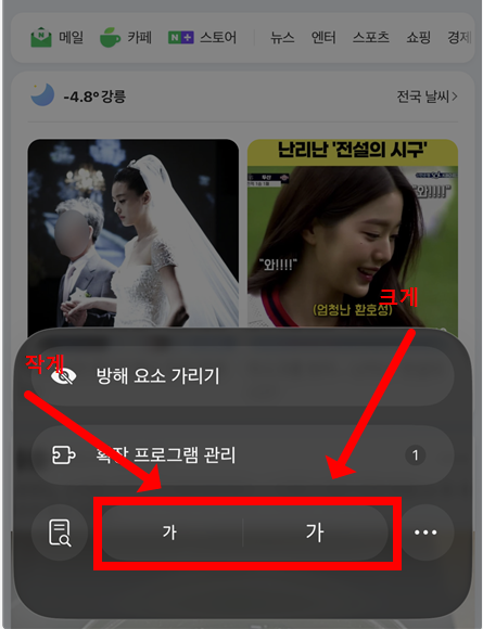 아이폰 사파리에서 글자 크기 조절하는 꿀팁 - 20260101_221859