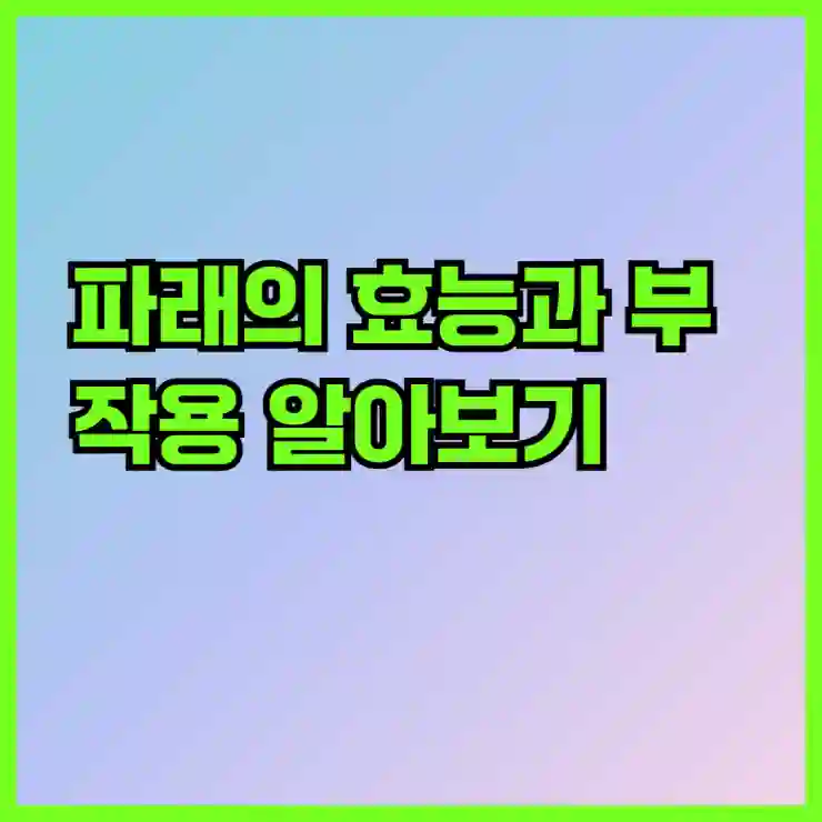 파래의 효능과 부작용 알아보기