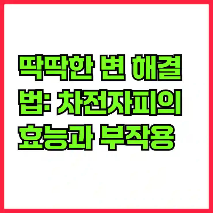 딱딱한 변 해결법: 차전자피의 효능과 부작용