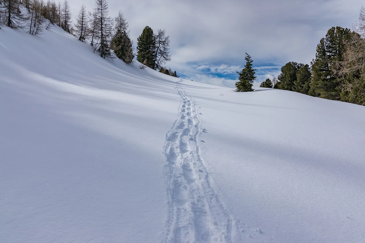 눈길 운전에 강한 AWD 차량 리스트