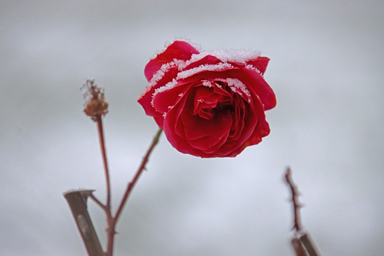 유토렌트 광고를 없애고 쾌적하게 사용하는 비법 알아보기 1