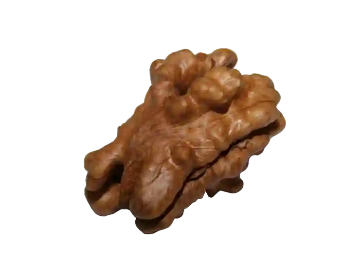 상업용 무료 손그림 일러스트 png 사이트 소개