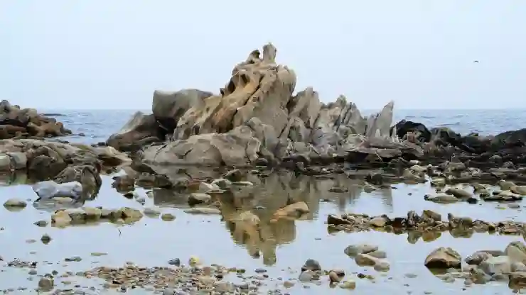 강릉 초당할머니 순두부집에 가봤습니다.