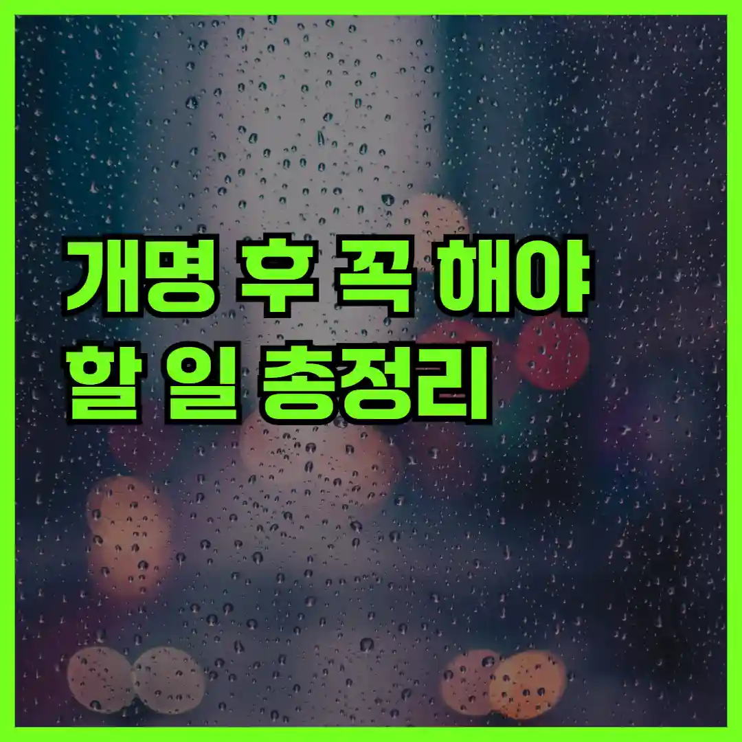 개명 후 꼭 해야 할 일 총정리