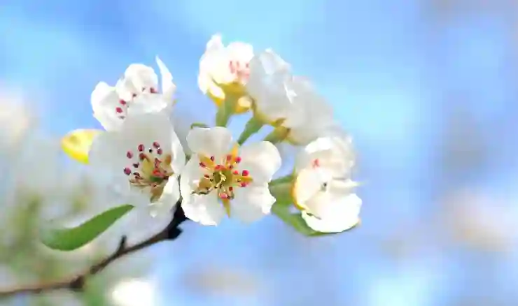 유튜브 로그아웃하는 꿀팁! 앱에서 쉽게 계정 해제하는 방법 알아보기