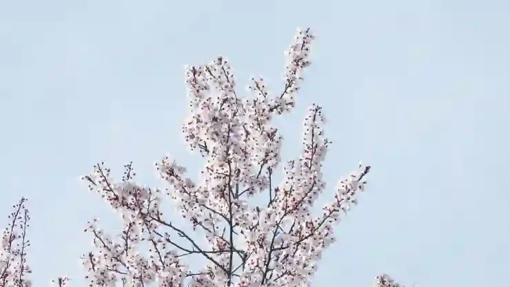 카카오뱅크 미니 카드 분실 시 티머니 잔액 환불 불가! 꼭 알아둘 꿀팁과 주의사항
