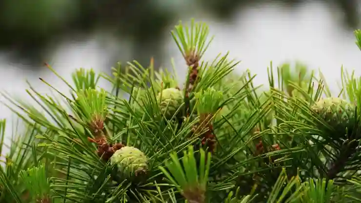 삼성페이 결제 비밀번호 변경 방법(암호 분실 시 재설정하기)