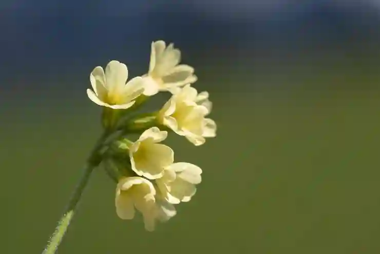 기상청 과거 날씨 달력으로 보기: 1960년부터 조회 가능