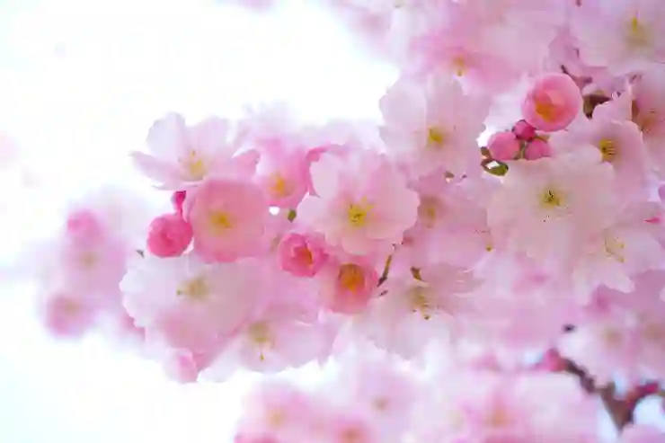 유튜브 채널 차단 및 해제 방법 (PC, 모바일)