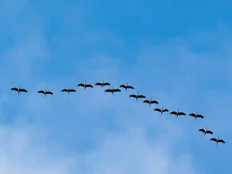 위챗 마이그레이션으로 다른 기기로 자료 옮기기