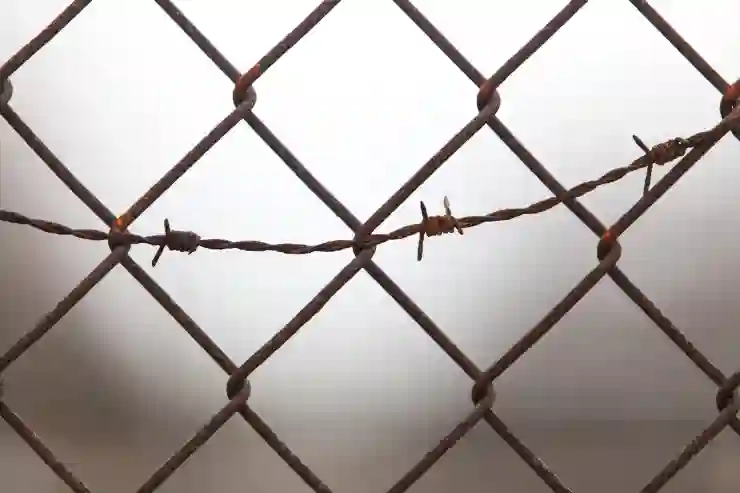 스팸 문자 확인 방법은? 링크 클릭 전 보호나라 조회하기