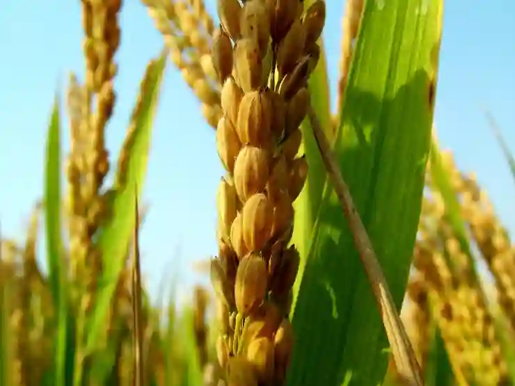 GS페이 결제 내역, 영수증, 결제 취소, 포인트 적립 내역 확인하기