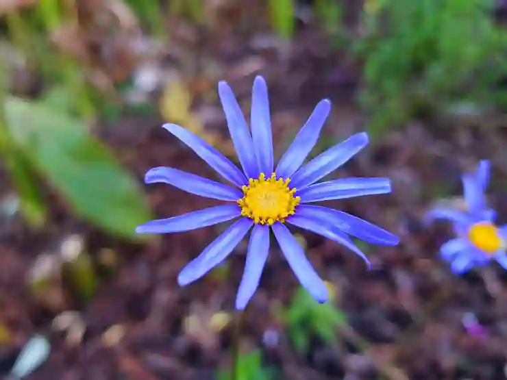 카톡 1 안 사라지게 읽는 꿀팁 알아보기