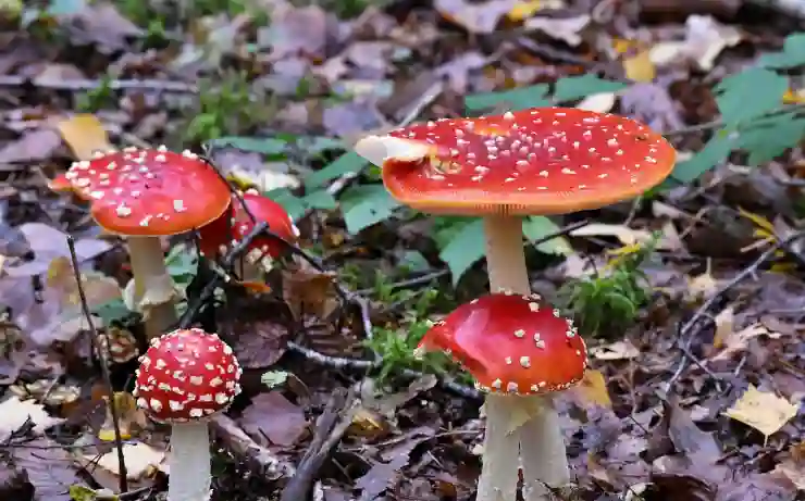 움직이는 글씨로 감성을 전하는 무료 GIF 사이트 활용법