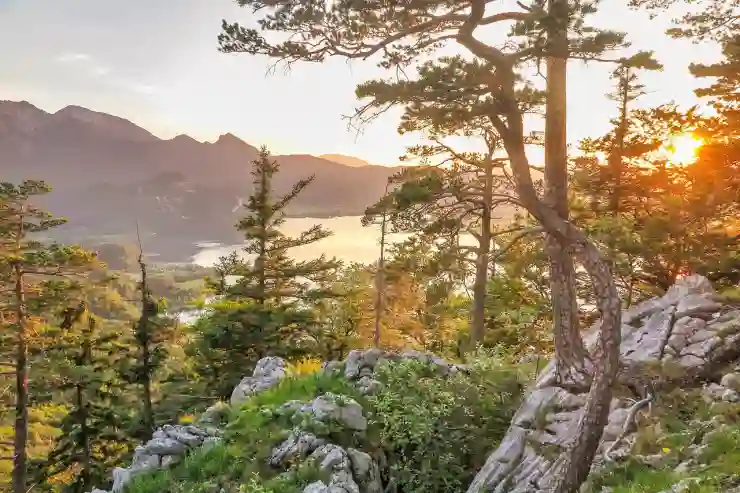 삼성페이 결제 비밀번호 쉽게 변경하는 법 알아보기