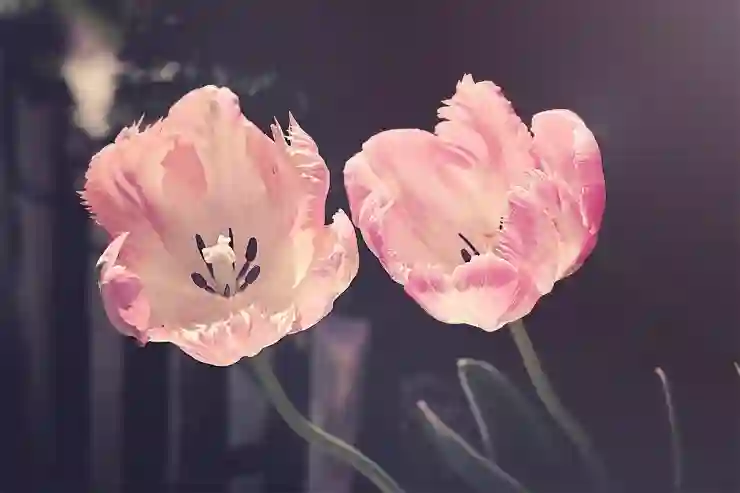 토스에서 은행 계좌 연결 해제하는 스마트한 방법 알아보기