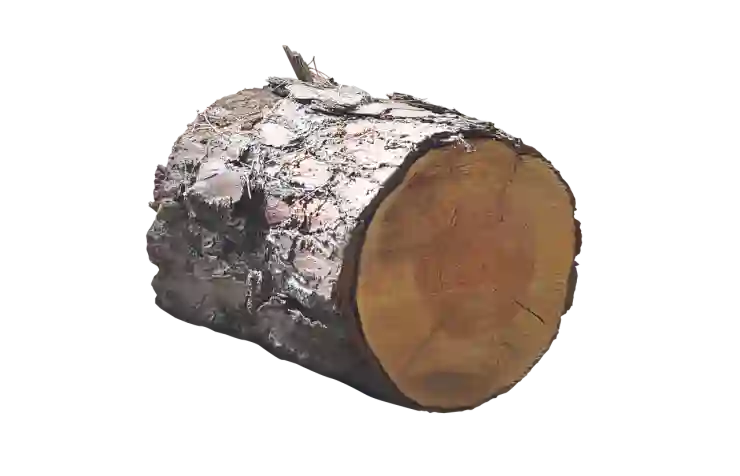 무료 PNG 파일 다운로드 사이트 pngimg.com