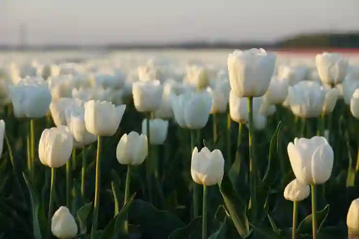 갤럭시 아이콘 폴더 색상 투명화 설정 방법