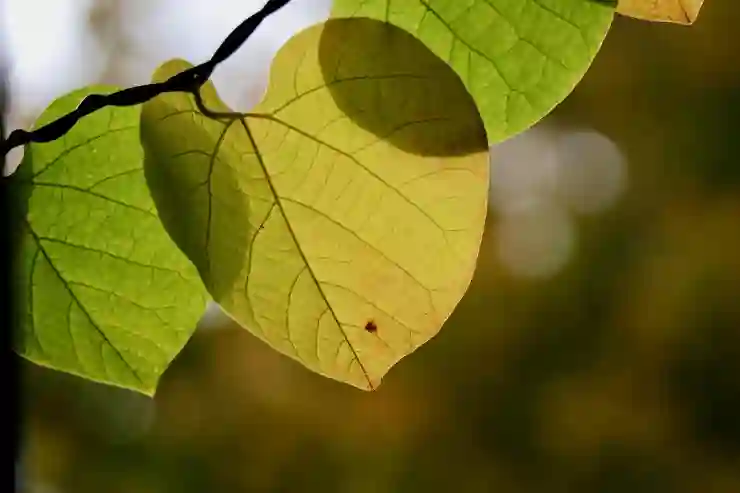 구글 플레이스토어 게임 앱 매출 순위 보기