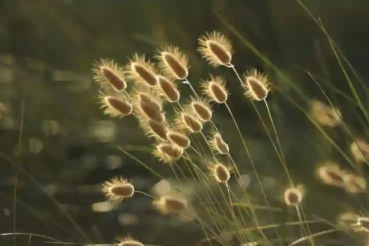 갤럭시 팝업 화면으로 보기: 창 맨 위에 띄우기