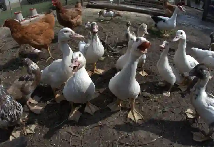 국민카드 할부 수수료 이자 쉽게 알아보는 법