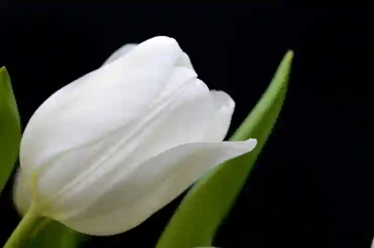 메가커피 앱으로 쉽게 주문하는 방법 알아보기