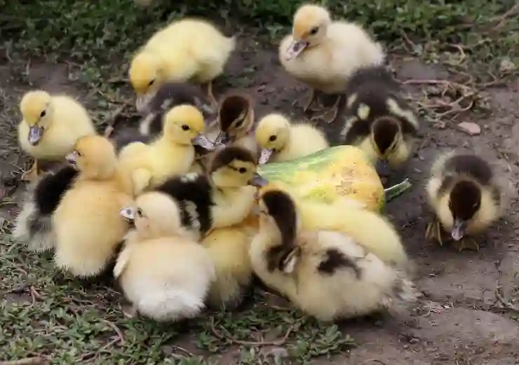 삼성카드 할부 이자 수수료, 알고 계신가요?