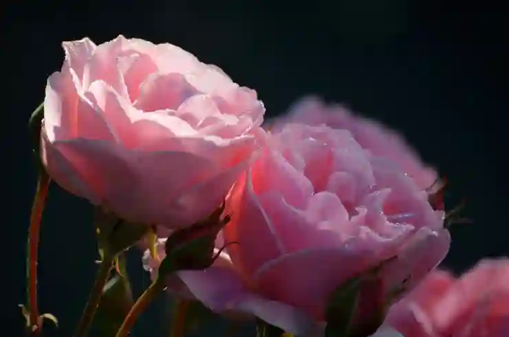 Aloha VPN으로 안전하게 인터넷 이용하기 꿀팁 공개!