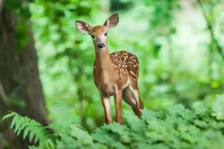 아이허브 첫 해외 직구, 국내 배송과의 놀라운 유사성 알아보기