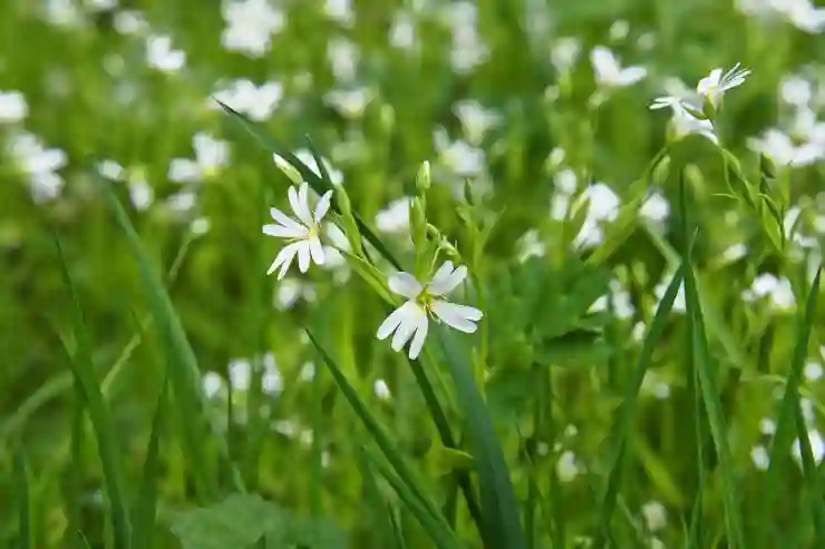 알집으로 EGG와 ALZ 파일 쉽게 압축하는 법 알아보기
