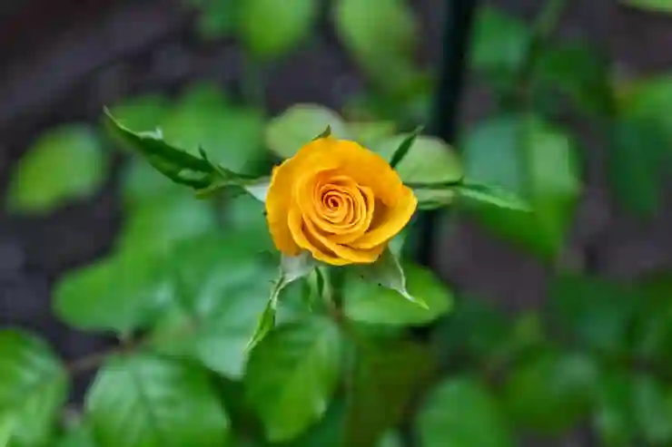 탭 소음 제어의 새로운 동반자, 언뮤트 살펴보기