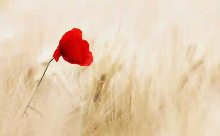 트위터에서 나만의 특별한 닉네임 만들기 비법 알아보기