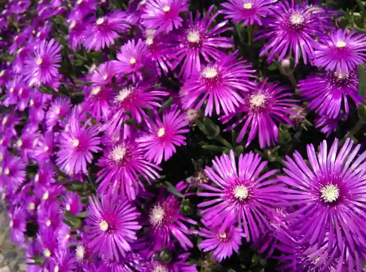 포토샵 명함 목업 파일 다운로드와 수정 꿀팁 알아보기