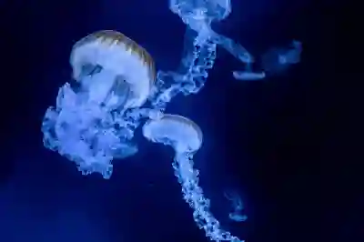 PC 모바일에서 넷플릭스 해상도 4k 고화질로 변경하기