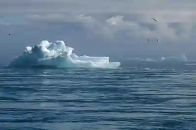 갤럭시 진동 세기 조절 및 진동 패턴 변경 방법