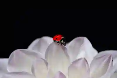 멜론 정기결제 이용권 해지 방법(안드로이드 스마트폰)