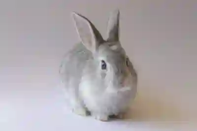 클립스튜디오 글자 간격 및 띄어쓰기 넓이 조정하기