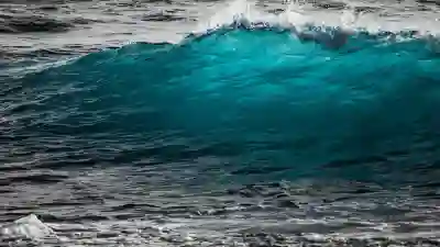 Motion Array로 숏폼 영상 만들기 꿀팁 살펴보기