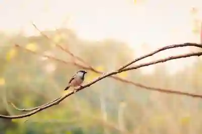 watchOS 26의 새로운 기능 살펴보기