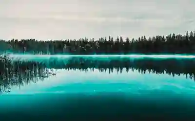 음주운전은 술을 몇 잔을 마셔야 걸릴까?