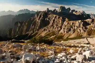 아이패드에 붓을 대봤더니 생긴 일 ( Butouch 붓터치 프로페셔널 2 )