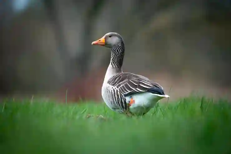 포토샵 강좌 - 병에 라벨 붙이기