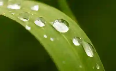 스테나 가열식 가습기 추천 stn100 단점 장점 은?