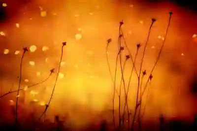 아이폰17 프로 오렌지 등장? 15가지 색상 총정리