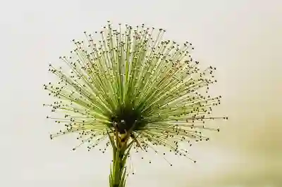 디자인 AI 사진 편집 프로그램 어도비 최신 기능 소개 ( 턴테이블 )