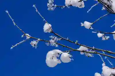 무더위, 추위 모두 해결 가능! 사계절 냉수 냉온수 매트 리큅 매직매트