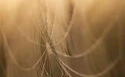 웹디자인을 위한 추천 컬러 매칭 사이트