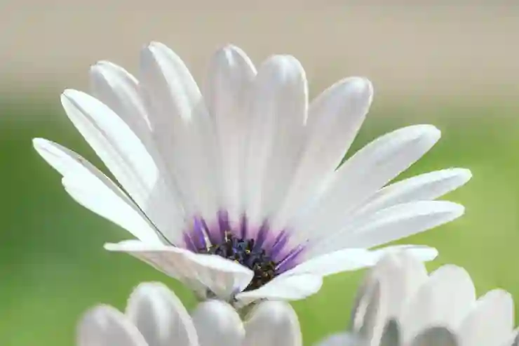 포토샵 추천 브러쉬 - 구름(Cloud) 브러쉬