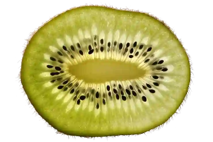 PNG-8과 PNG-24의 차이점을 알아보자